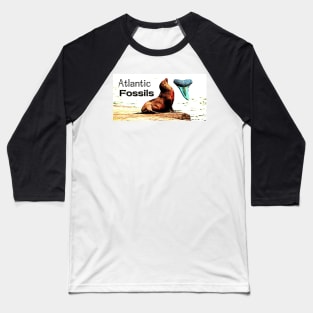 Sea Lion and Atlantic Fossils Shark Tooth Baseball T-Shirt